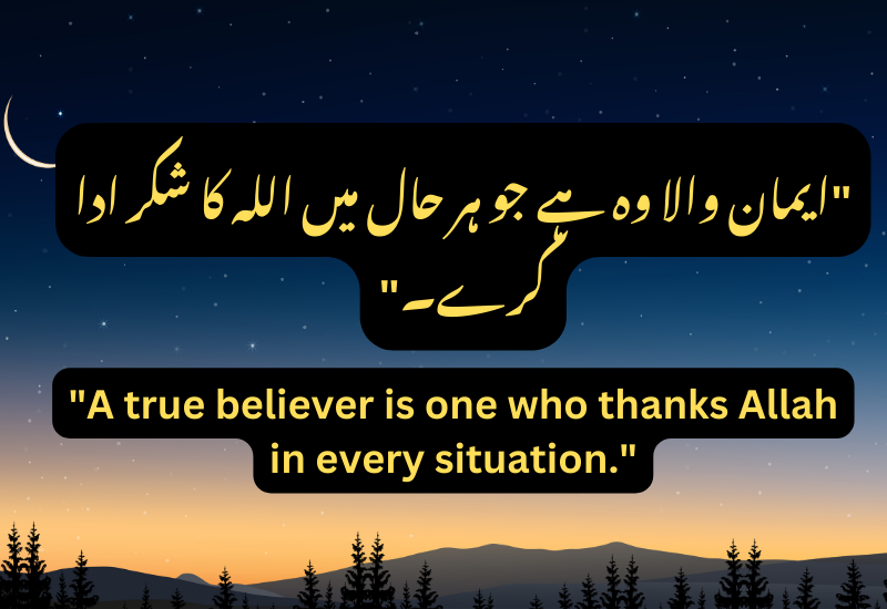 Islamic Quotes 02