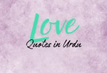 Love Quotes