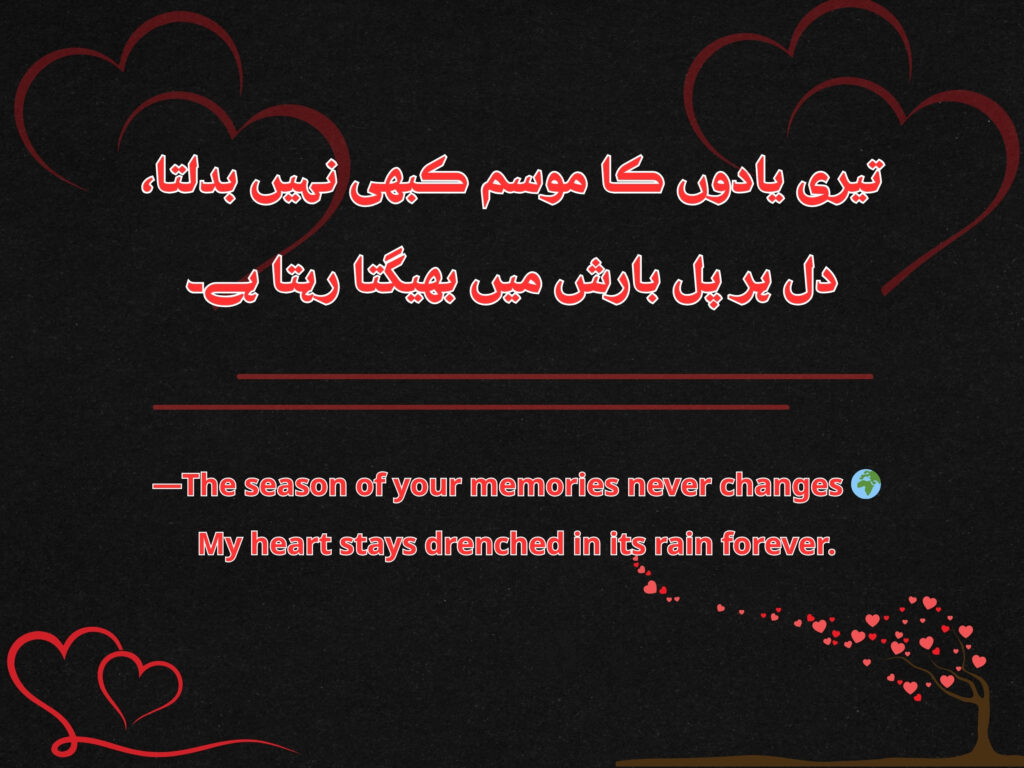 Soft romantic poetry capturing love at first sight in Urdu. 