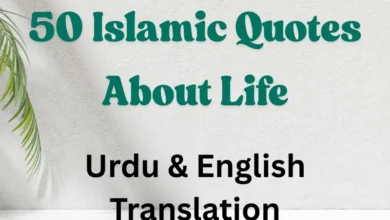 Islamic Quotes About Life