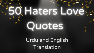 haters love quotes